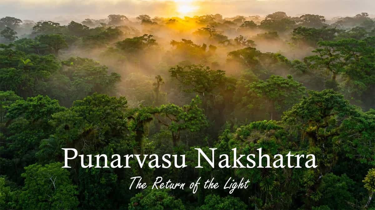 Punarvasu Nakshatra – The Return of the Light, illustrated by golden sunlight rising over a mist-covered green forest.